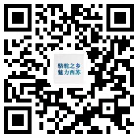 投资热线