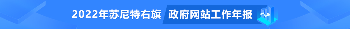 政府网站工作年度报表