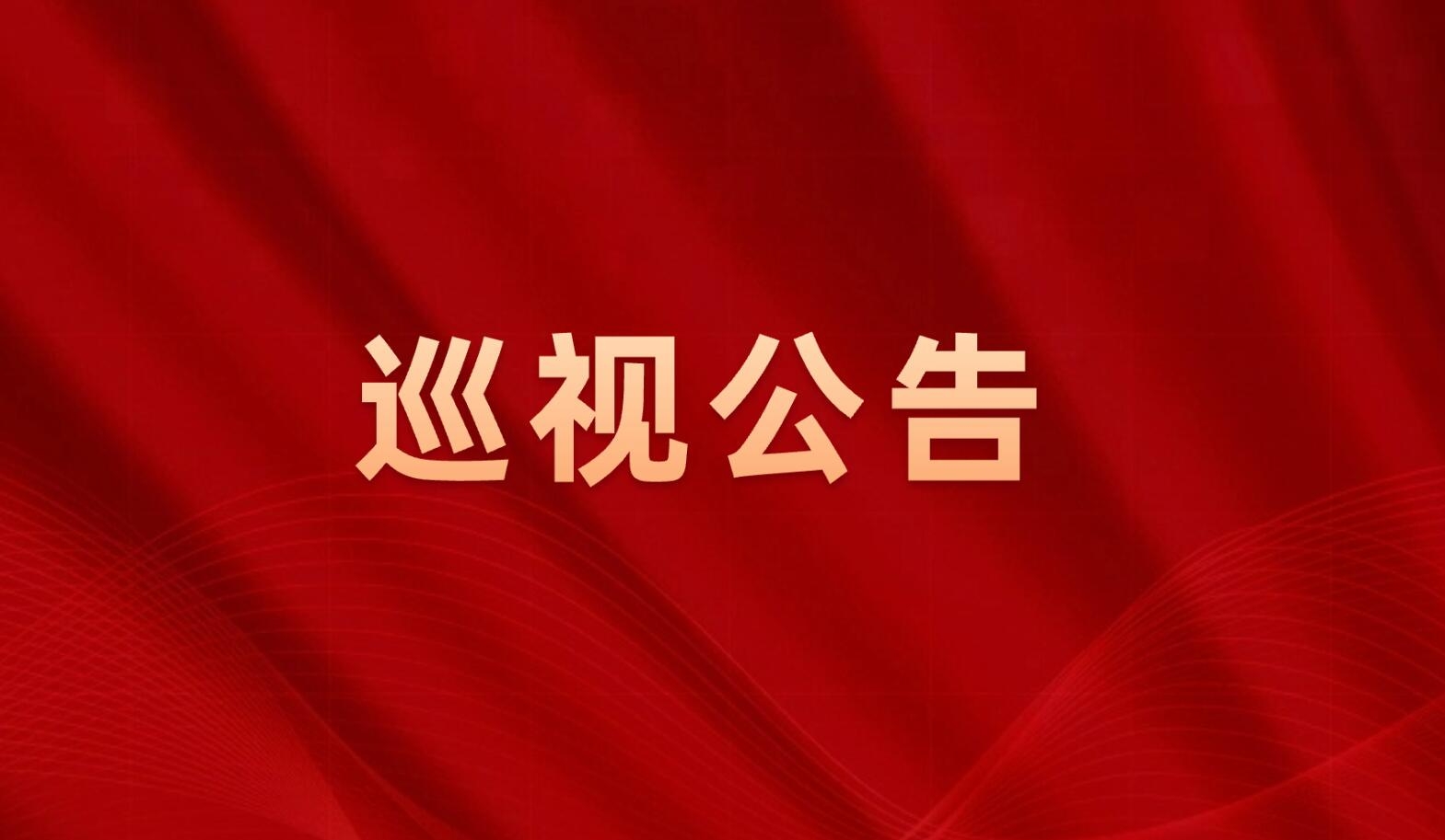 巡 视 公 告