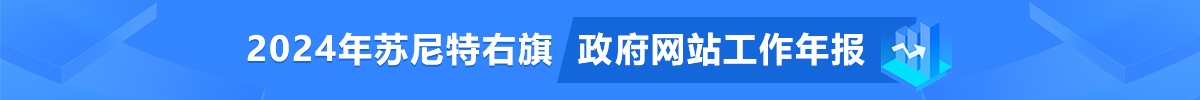 政府网站工作年度报表