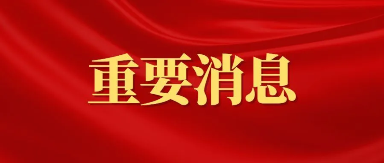 陈玉成调研民营企业，引领本土企业破局发展